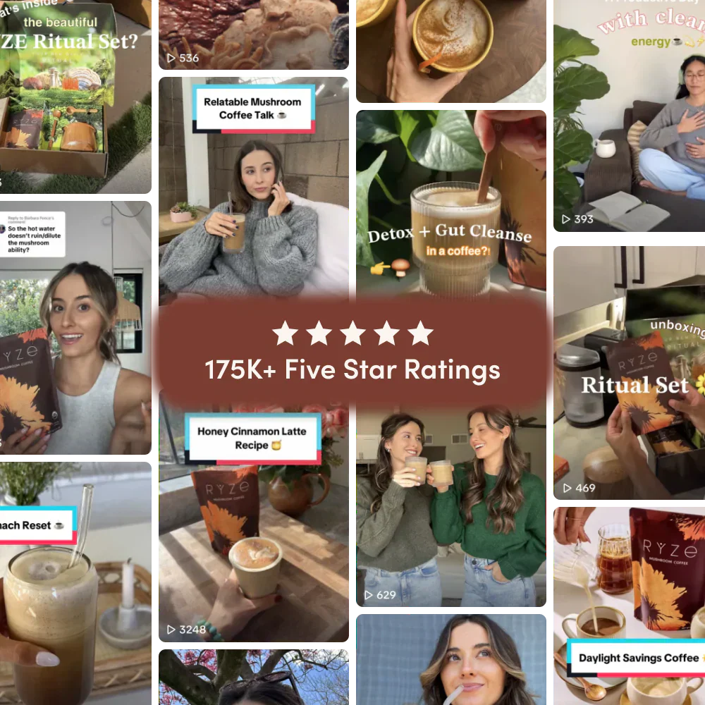Dark Roast Starter Kit - Image 5