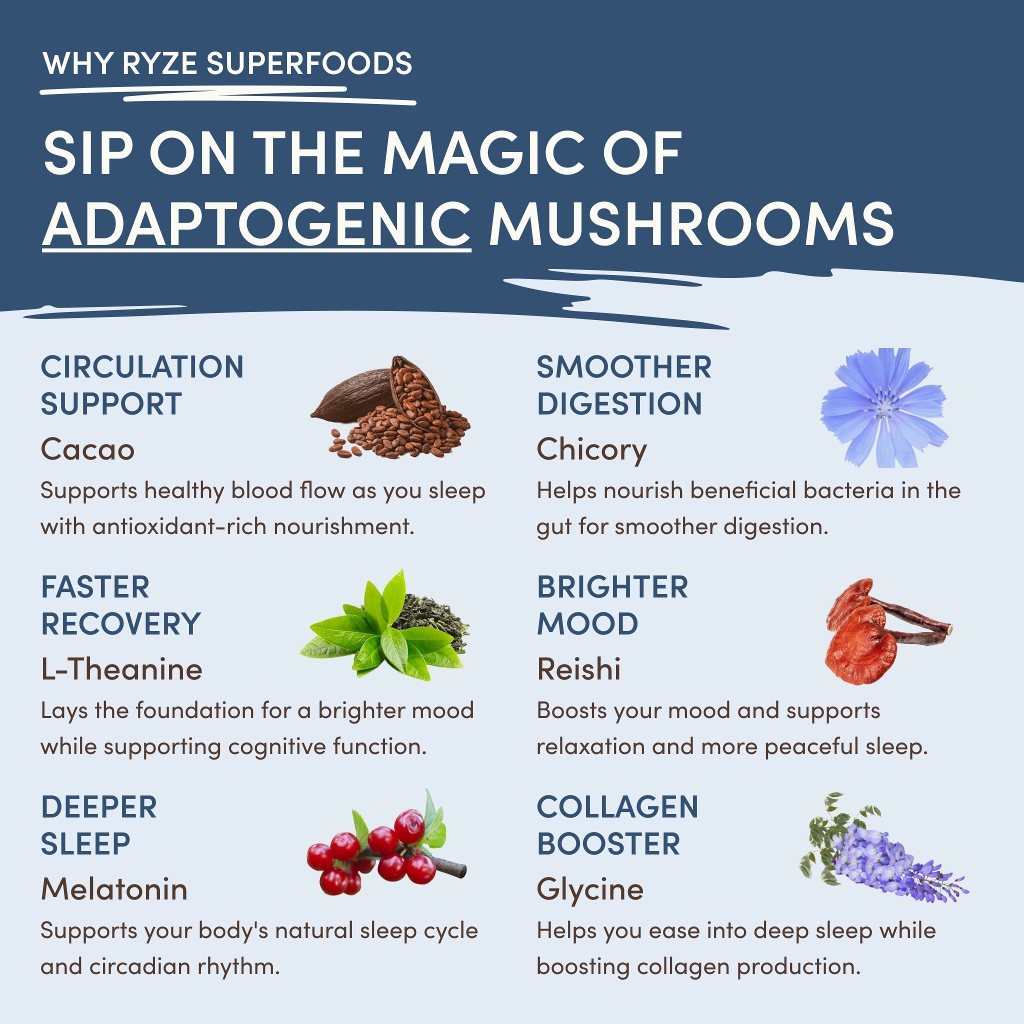 Mushroom Hot Cocoa - Image 5