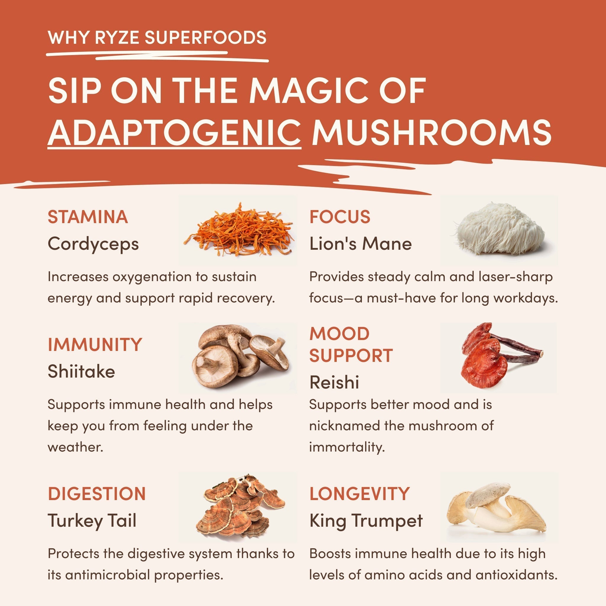 Superfood Creamer - Image 5